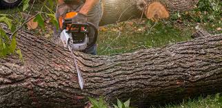 Best Artificial Turf Installation  in Mcchord Af, WA